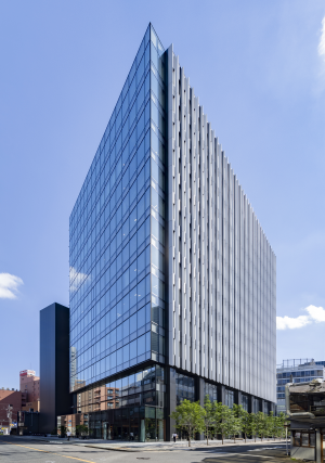 Corporate information